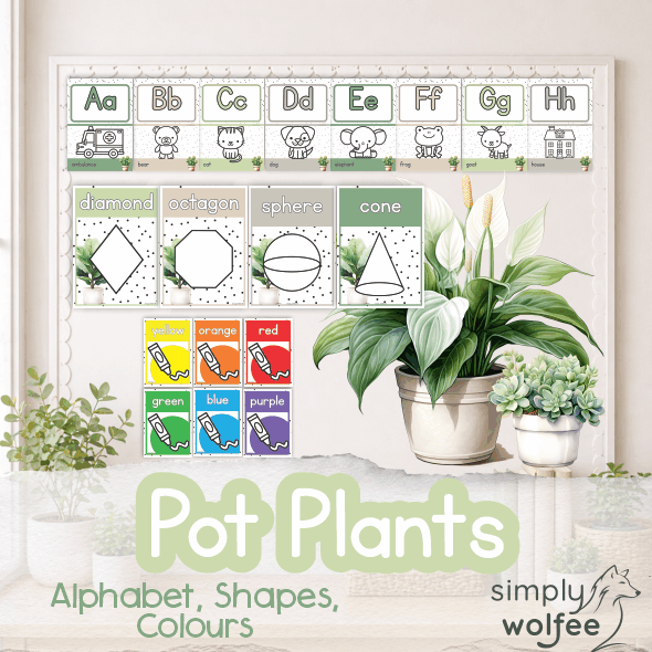 Pot Plants Bundle 2