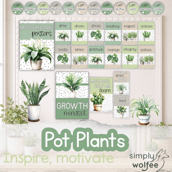 Pot Plants Bundle 4